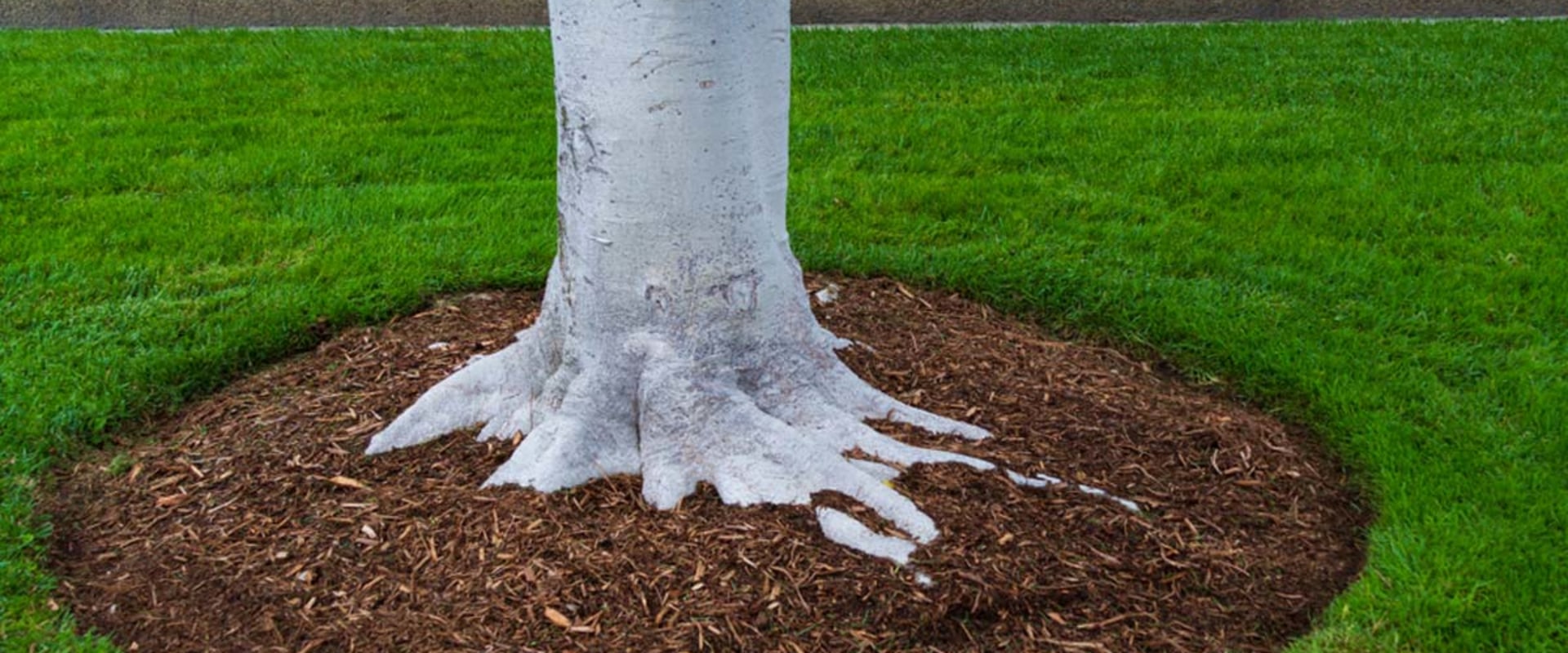 How much does a good mulcher cost?