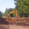 Transform Your Property with Forestry Mulching in Portland