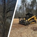 Creating a Cleaner Landscape with Forestry Mulching and Pressure Washing Services