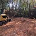 Forestry Mulching Considerations for Areas With Hidden Wiring