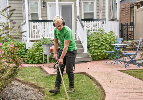 The Benefits Of Partnering With A Lawn Care Company After Forestry Clearing In Northern Virginia