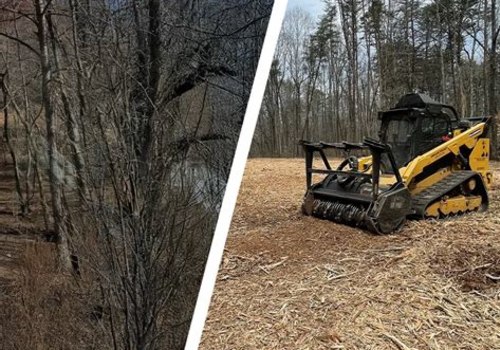 Creating a Cleaner Landscape with Forestry Mulching and Pressure Washing Services