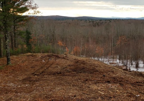 Forestry Mulching In Portland, OR: Why Professional Tree Service Matters